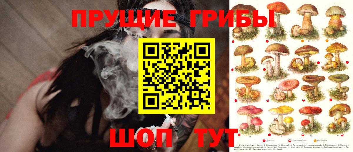 Пыть-Ях  Псилоцибиновые грибы Magic Shrooms  Галлюциногенные грибы ЛСД  Вход с VPN 